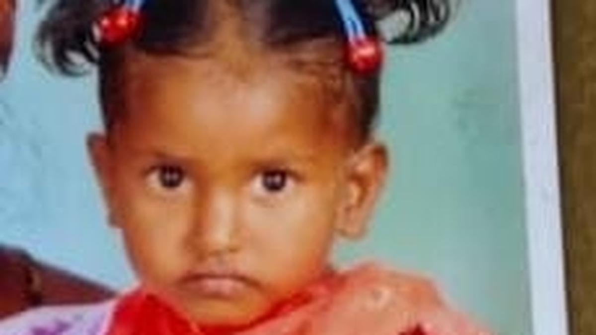 Police launch search after toddler goes missing from Andhra’s Krishna district