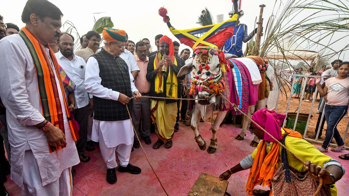 Union Law Minister takes part in Sankranti Sambaralu in Visakhapatnam