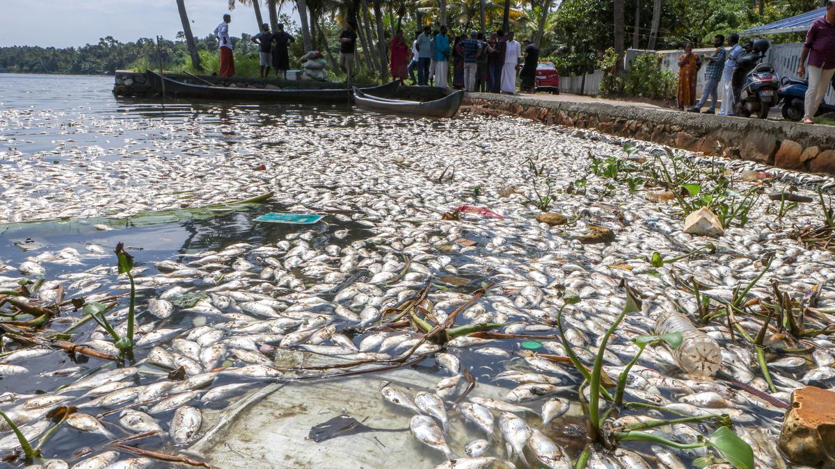 A lake ecosystem gasping for breath
Premium