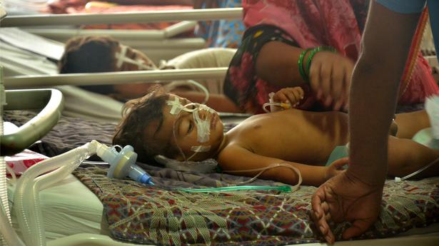 Japanese Encephalitis claims 85 lives in Assam in 2 months