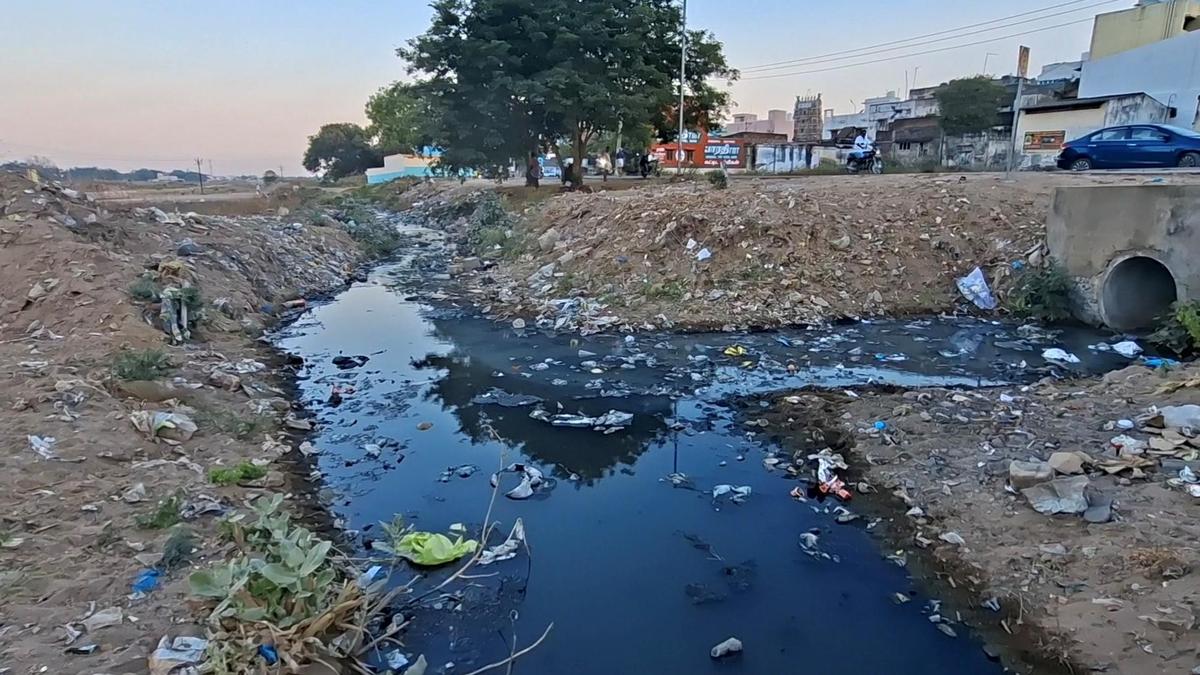 Tamil Nadu election 2026: Paramakudi constituency struggles with infrastructure gaps, untapped potential