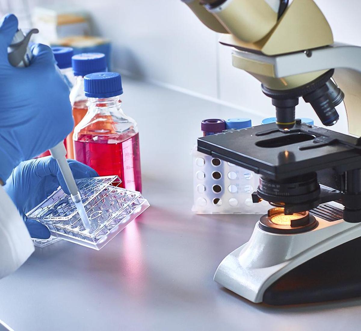 thehindu.com - Vikas Pawar - How the next major breakthrough in cancer could come from India