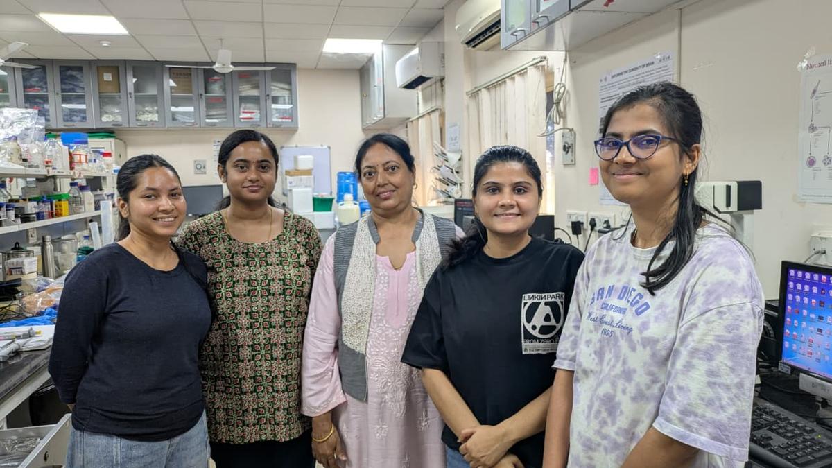 Teams led by CSIR women scientists report advances in research on depression mechanisms in females