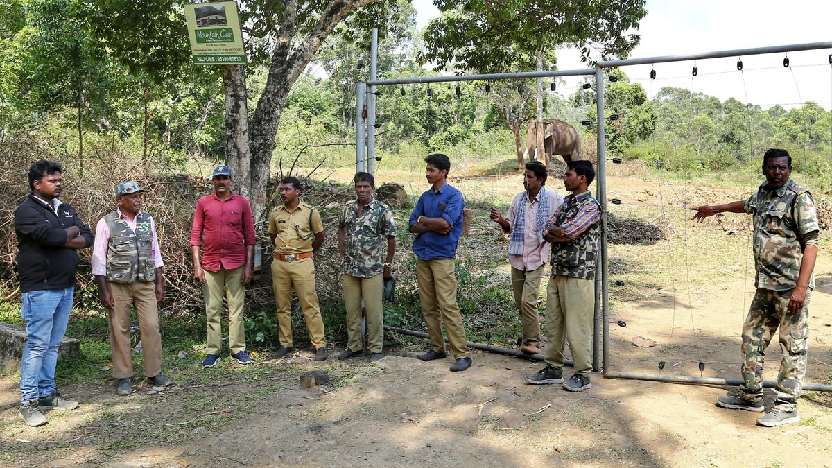 Delay in capturing Arikompan gives sleepless nights to RRT members