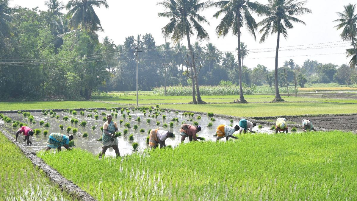 Here are the big stories from Tamil Nadu today