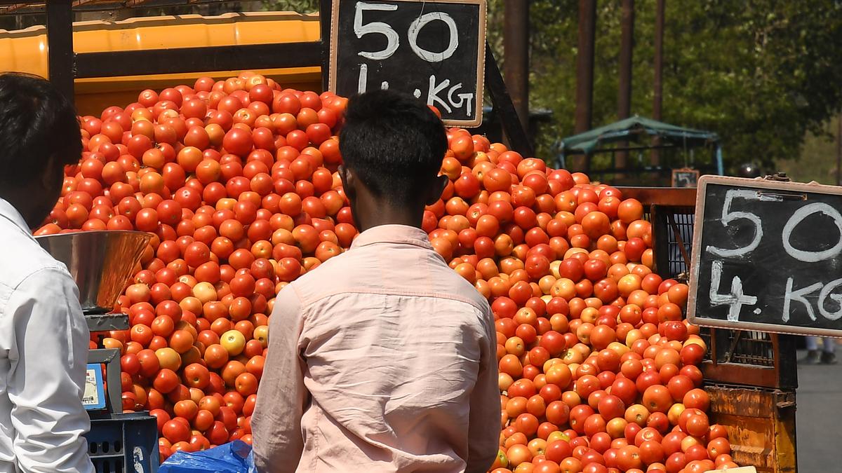Prices of tomato, onion and potato have shot up in a month - The Hindu