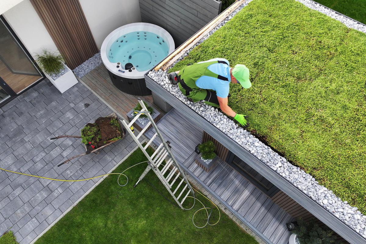 Installing green roofs. 