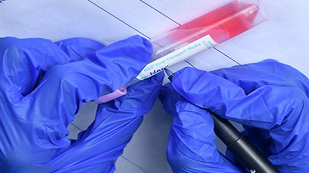 India adds 13,272 new COVID-19 cases