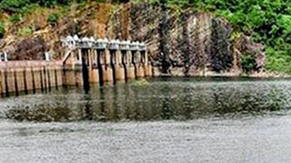 Water level in Papanasam Dam stands at 124.50 feet
