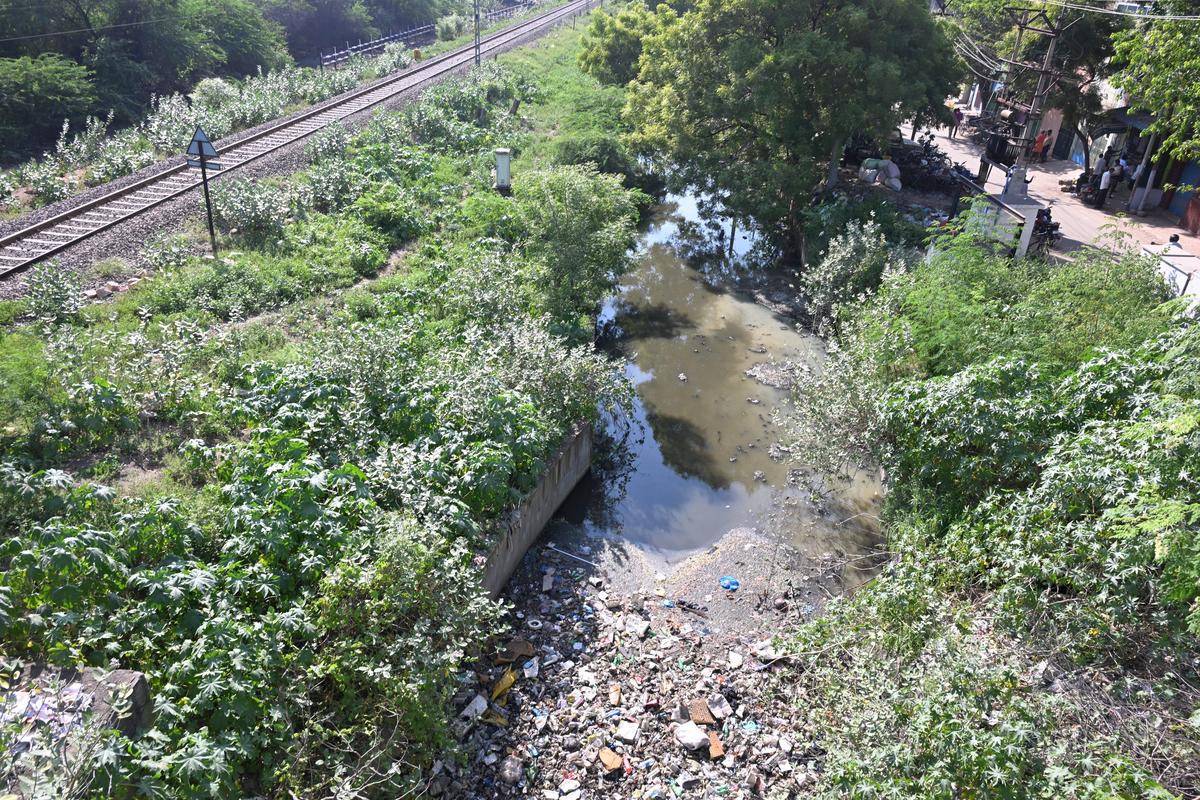 The encroachments and pollution narrowed the stretch of the Kiruthumal River near Therkuvasal in Madurai