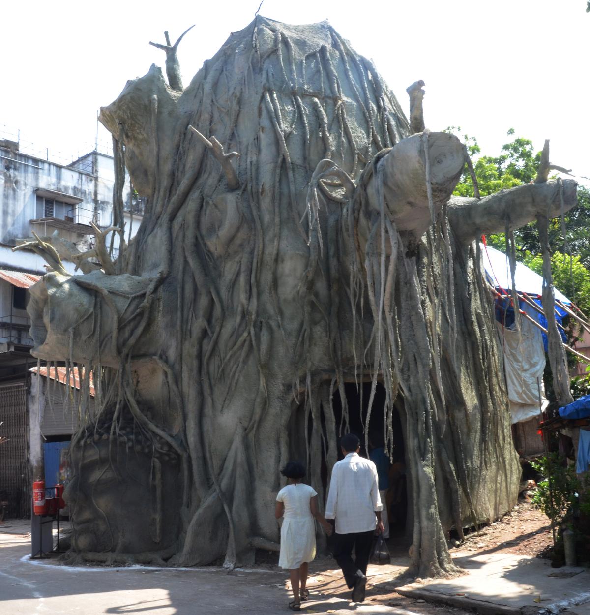 The dying banyan tree pandal