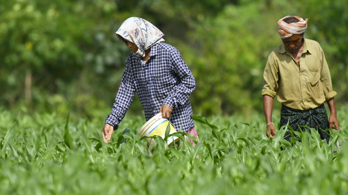 Fertilizer booking on mobile app in Telangana yielding good results