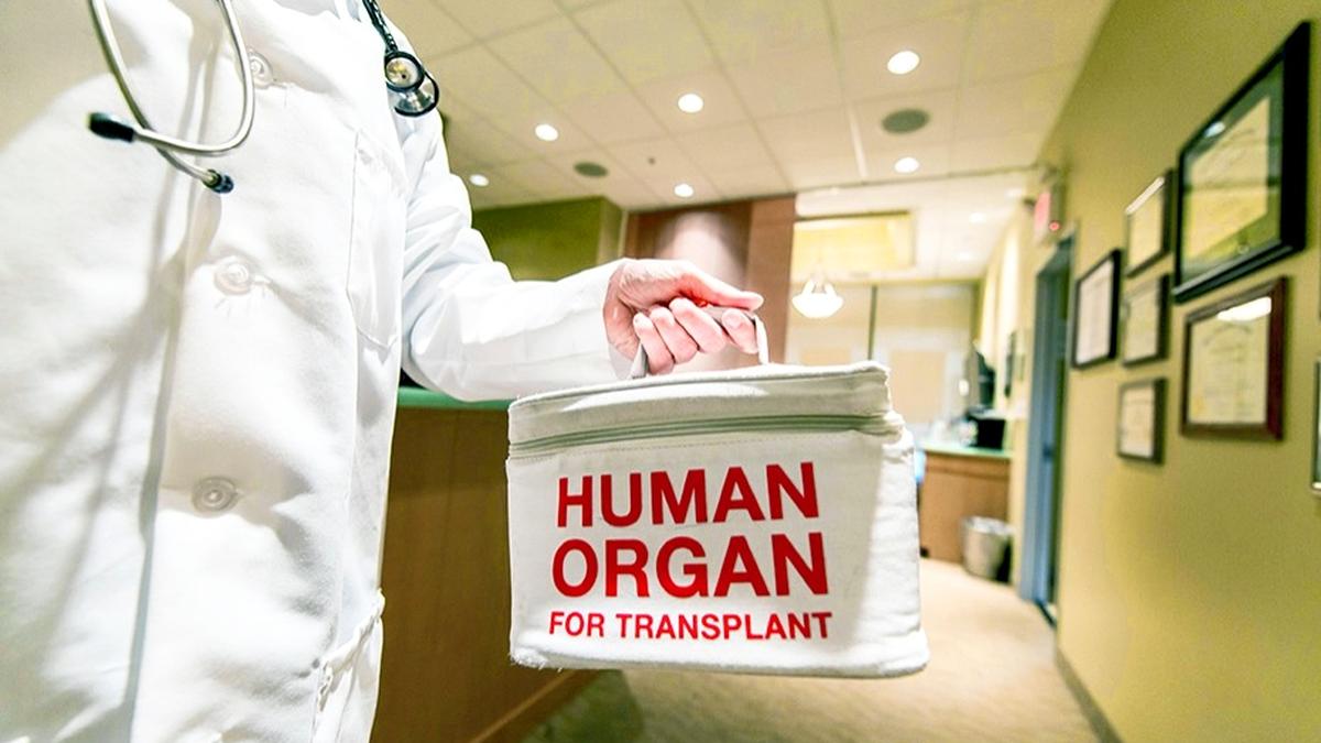 Committee favours cancellation of kidney transplant licences of two hospitals