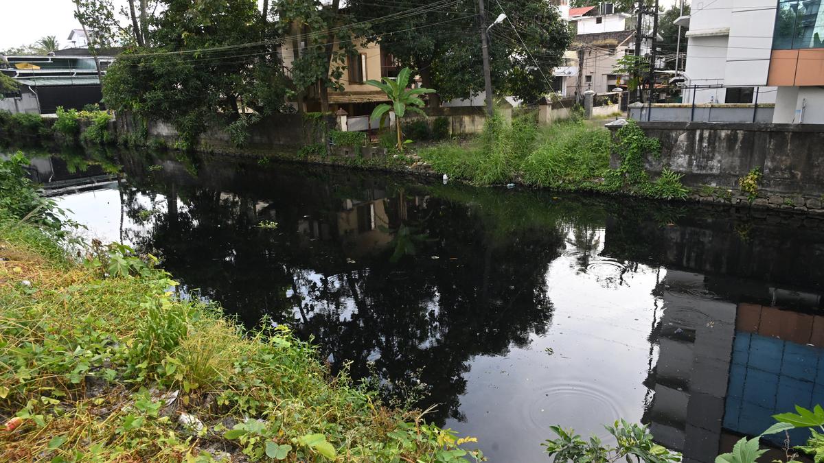 Most amoebic meningoencephalitis cases in immunocompromised people or those who entered unchlorinated waterbodies: experts