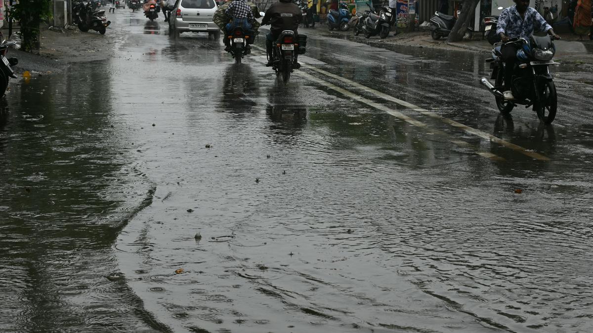 Moderate rainfall in Thoothukudi, holiday declared for schools