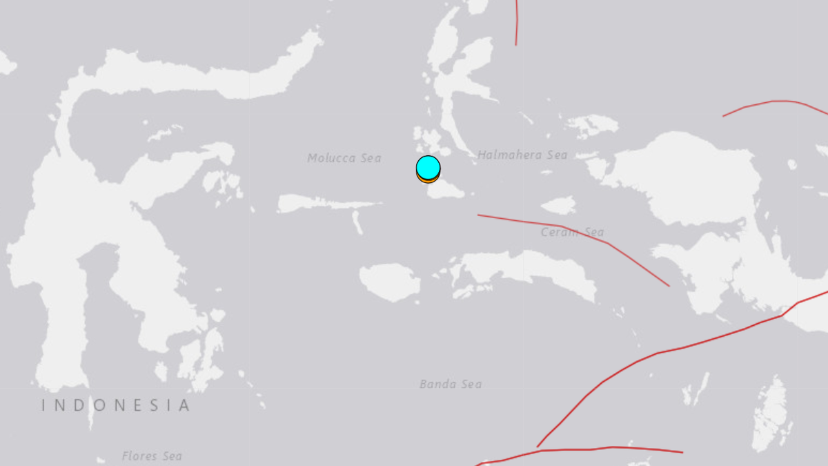 https://th-i.thgim.com/public/incoming/p2axy6/article68778482.ece/alternates/LANDSCAPE_1200/Indonesia%20earthquake.png