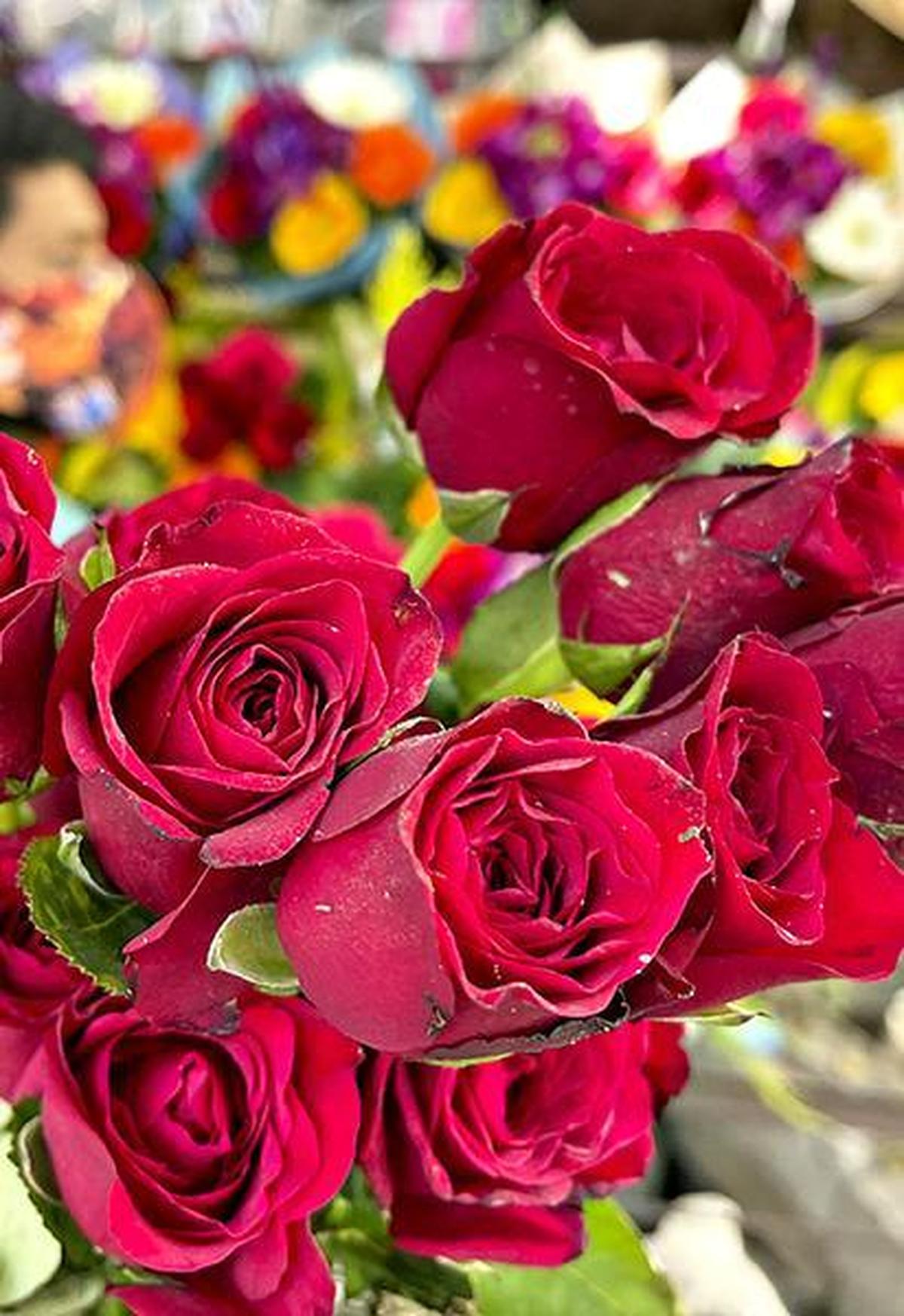 Watch: Valentine’s Day: Flower prices surge in Tamil Nadu’s Thoothukudi