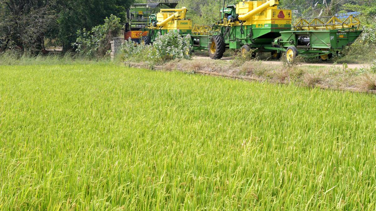 Hi-tech harvester hub scheme: Combine harvesters to be distributed in Mandya