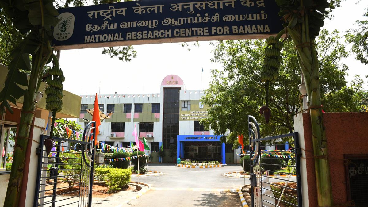 Farmers, officials from U.P. undergo training at NRCB