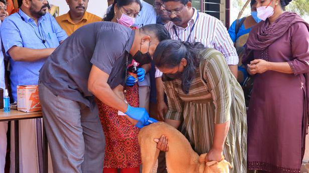 Cooperation of local body firms sought for rabies vaccination drive of street dogs: Minister