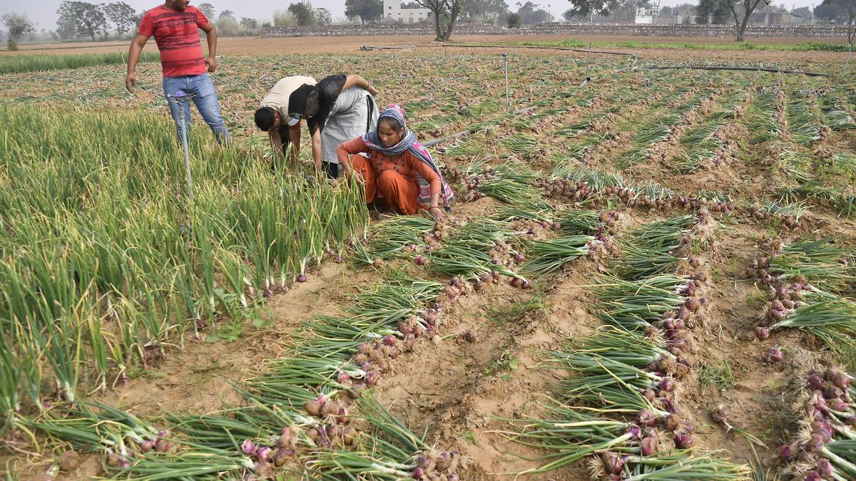 Emphasis on integrated approach to agriculture for enhancing farmers’ income