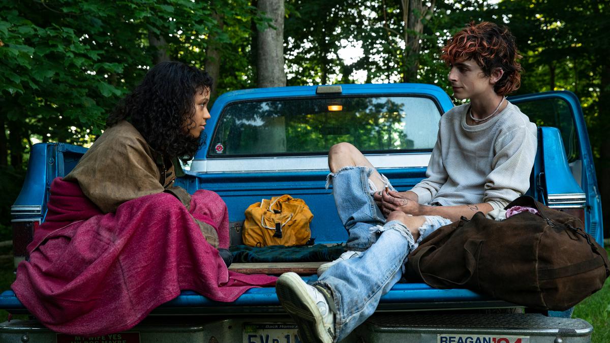 ‘Bones and All’ movie review: Timothée Chalamet and Taylor Russell scheme to serve a coming-of-age cannibal romance