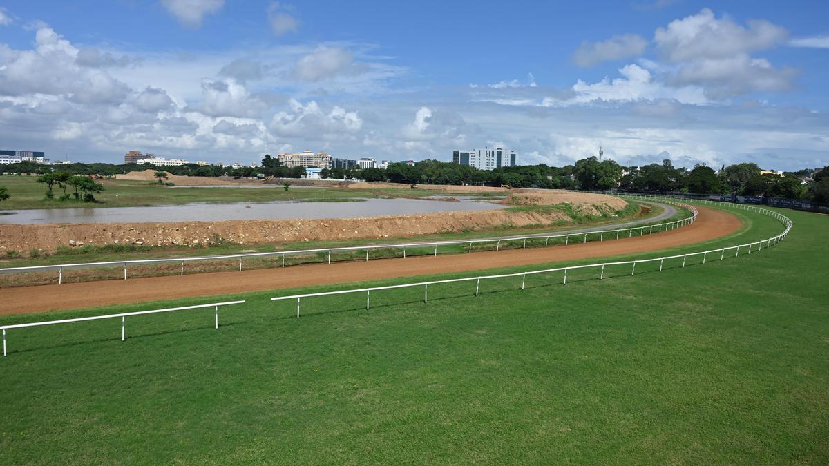 Chennai desperately needs eco-park at Madras Race Club land in Guindy: Madras High Court