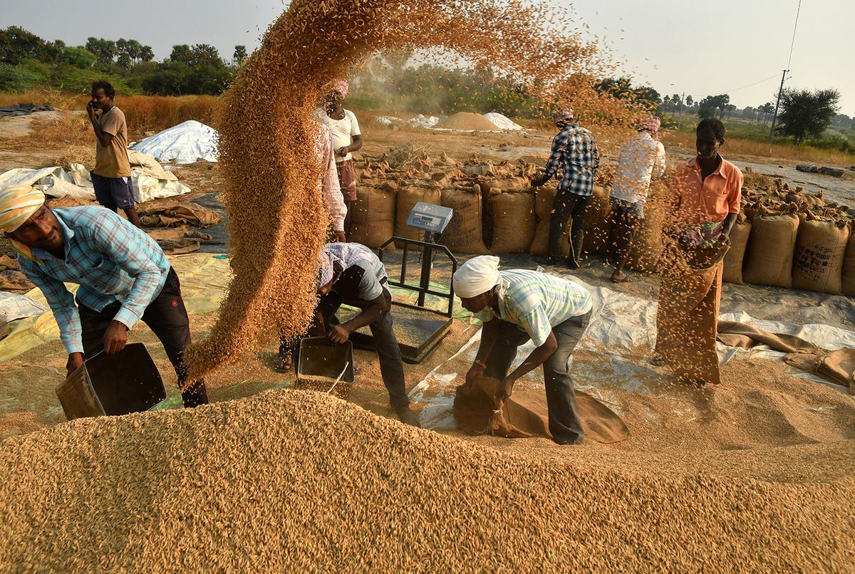 Centre hikes kharif crop MSPs, ₹143 increase for paddy - The Hindu