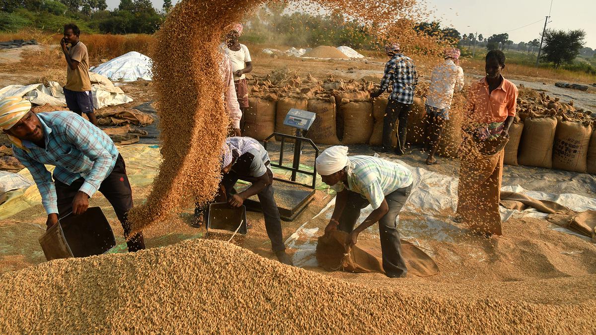 Govt. to hike minimum support price of agricultural products for Kharif season