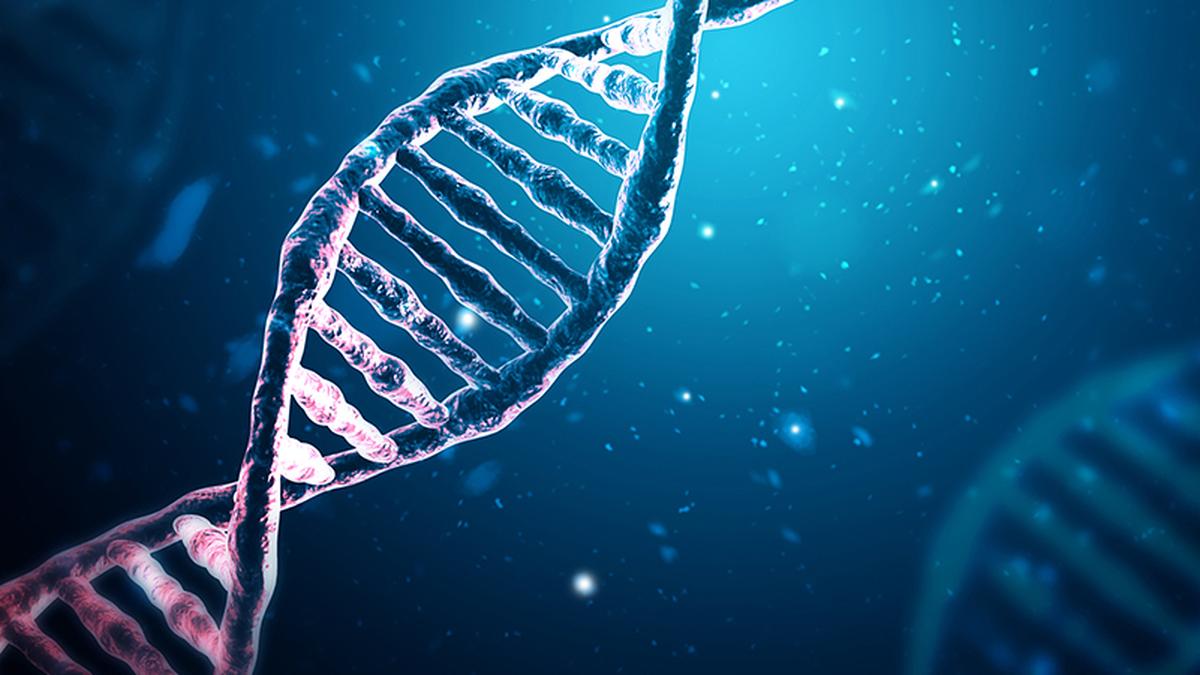 If 23andMe goes bust, what happens to its DNA database?
Premium