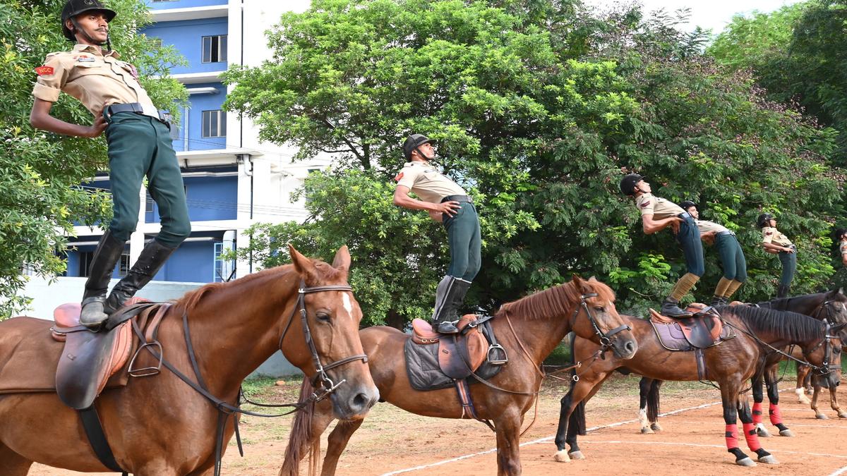 Andhra Pradesh: NCC cadets perform ‘asanas’ on horseback, win accolades ...