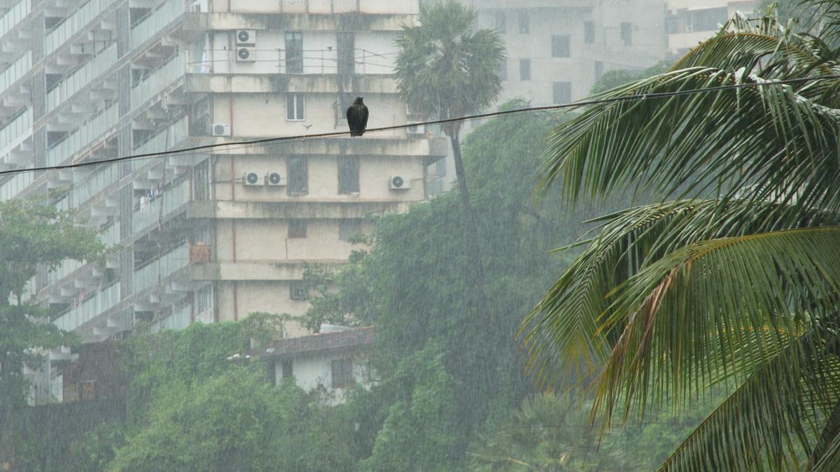 Pre-monsoon showers drench Mumbai, waterlogging slows traffic in some areas