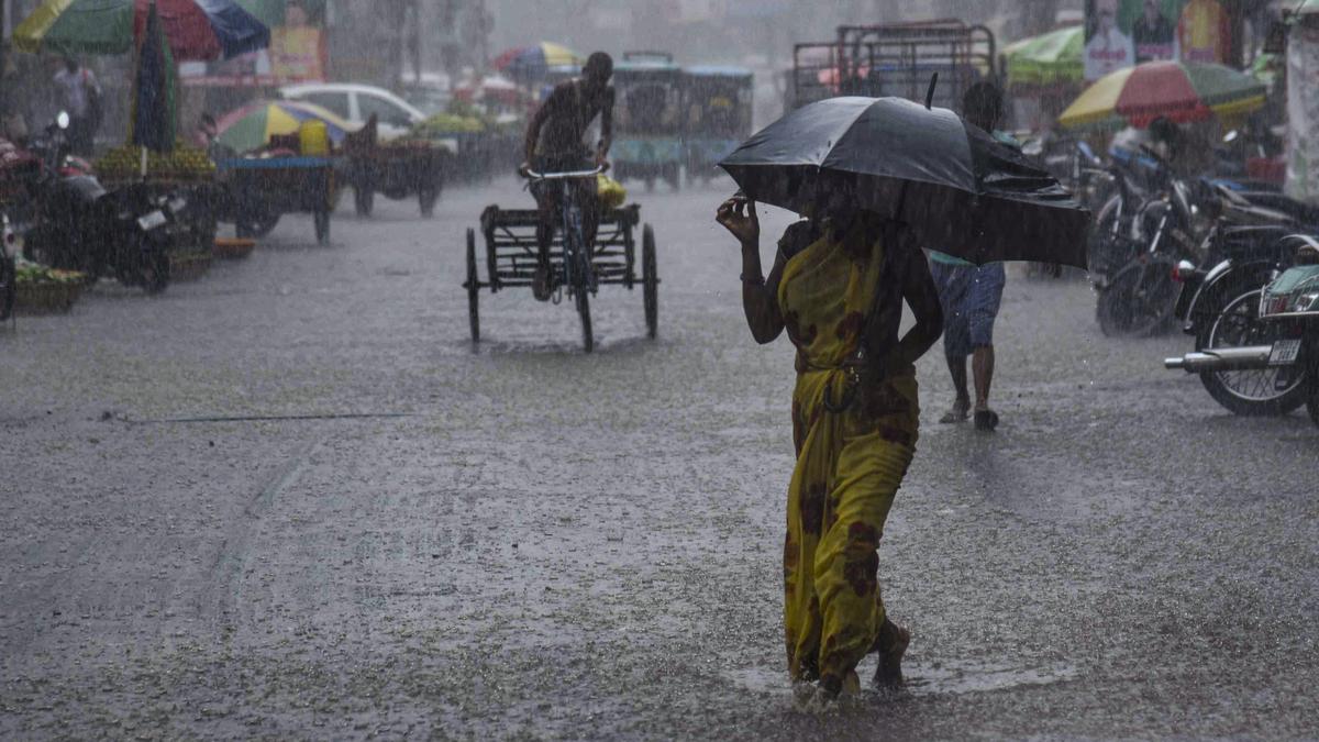 Lightning strikes kill 12 in Bihar