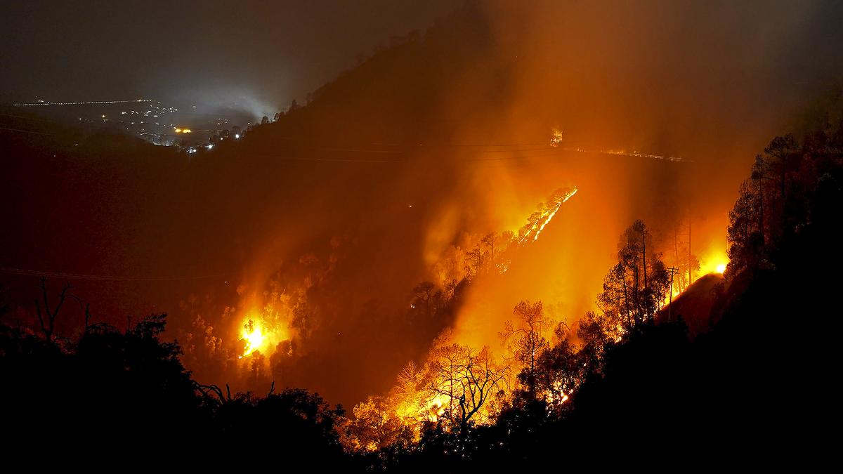 Rains expected to douse Himachal forest fires and curb runaway heat