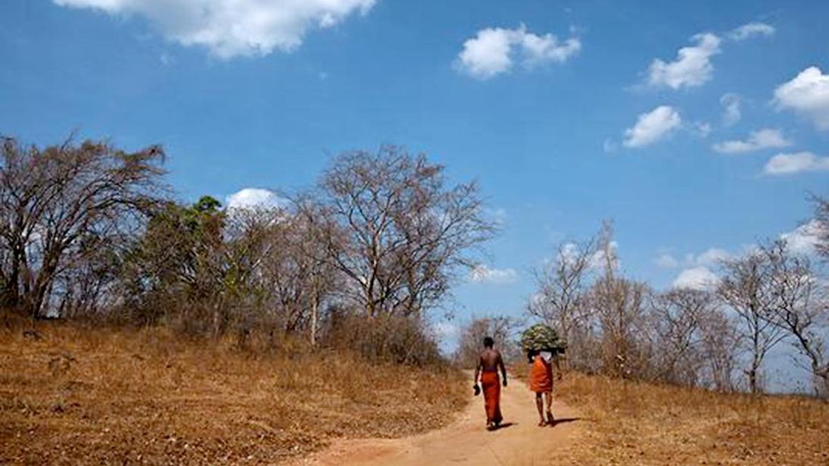 Mental health in a warming world: why this is a looming crisis