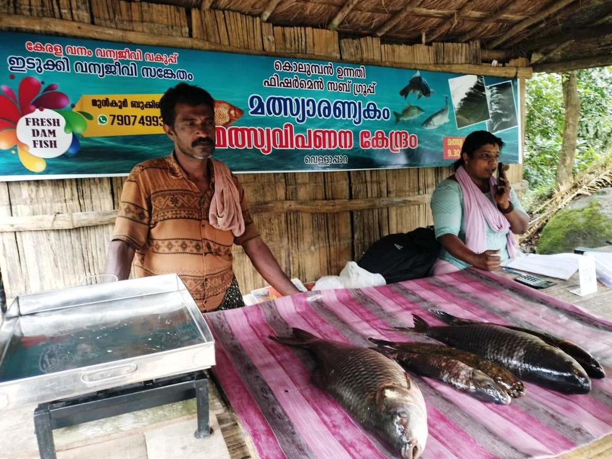 The Malsyaranyakam fish stall at Vellappara, near Cheruthoni, in Idukki.