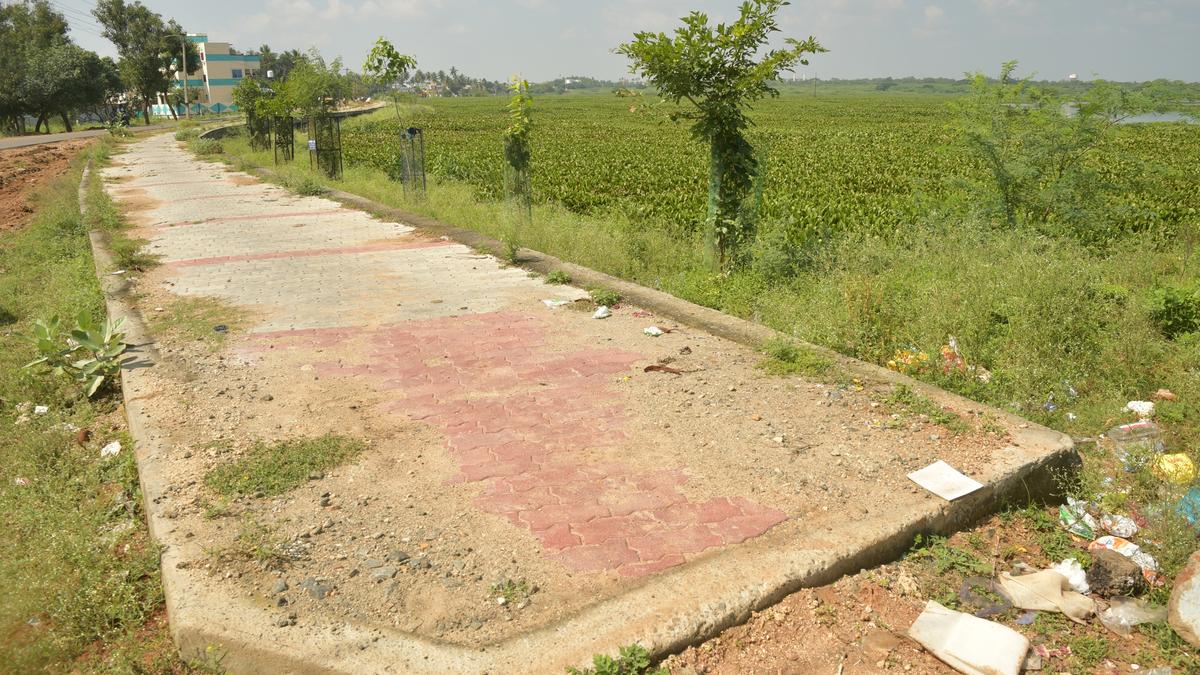 Mavadi Kulam, a water body in Tiruchi, lies in utter neglect