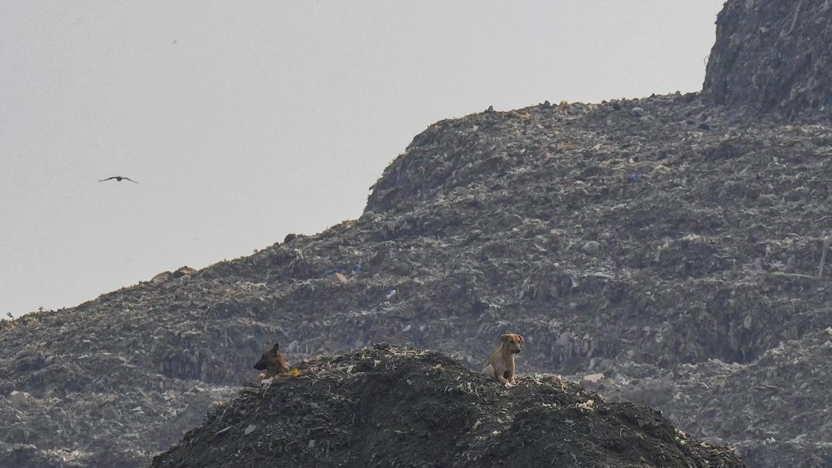 CM Rekha Gupta directs MCD to clear landfill sites by December 2026