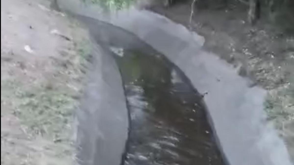 Water from Thirumoorthy Dam reaches culmination point of 124-km PAP Canal, farmers in tail-end demand equitable distribution