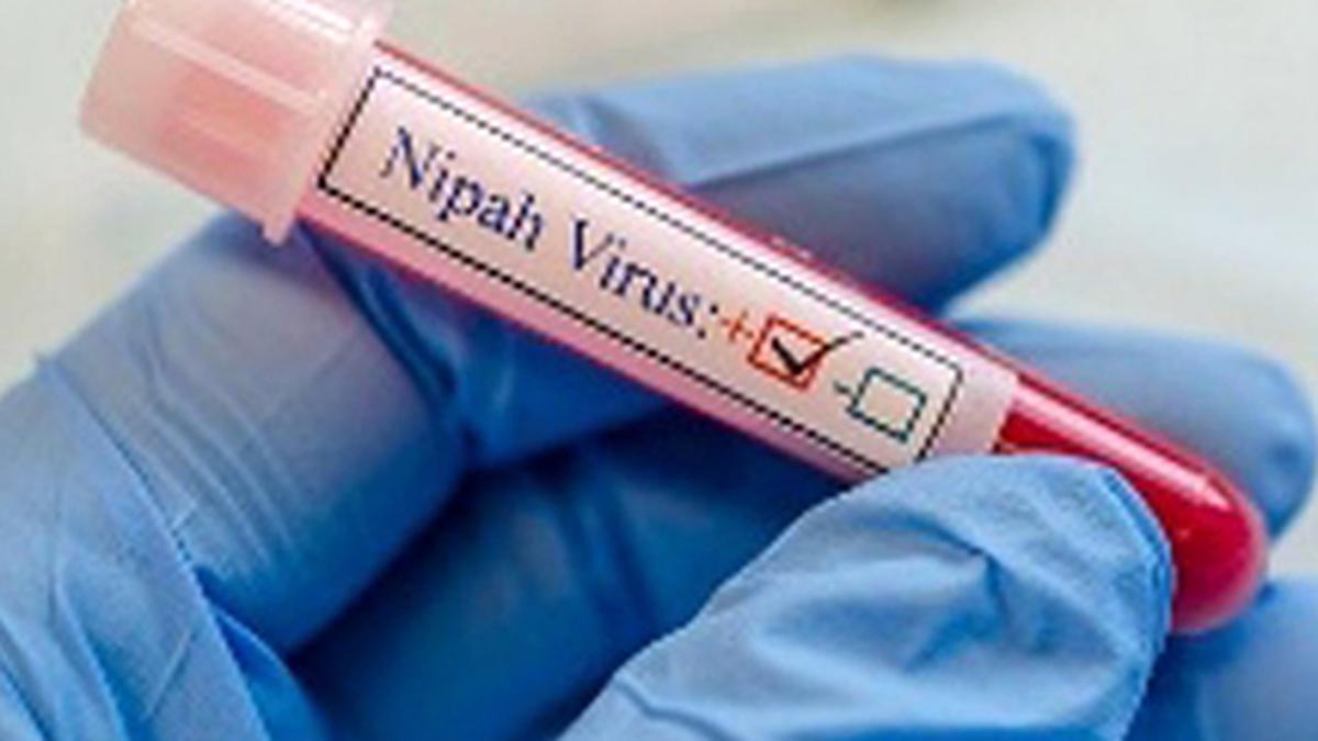 Nipah virus | Dakshina Kannada, other districts in Karnataka bordering Kerala directed to strengthen fever surveillance
