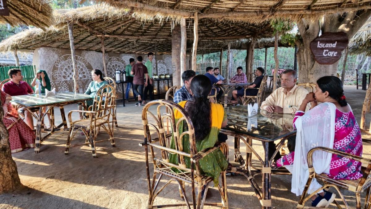 Bat Island cafe Bat Island cafe