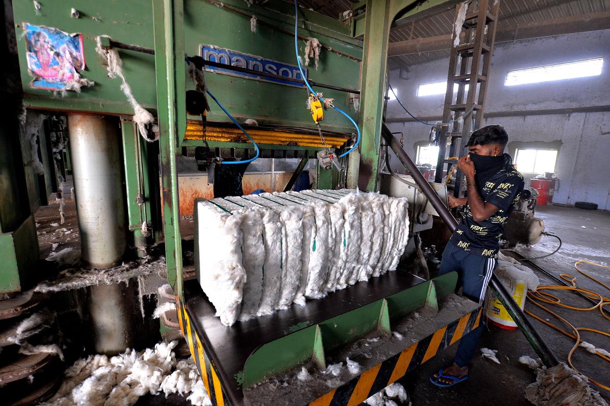Workers at a ginning mill near Surendranagar, Gujarat.