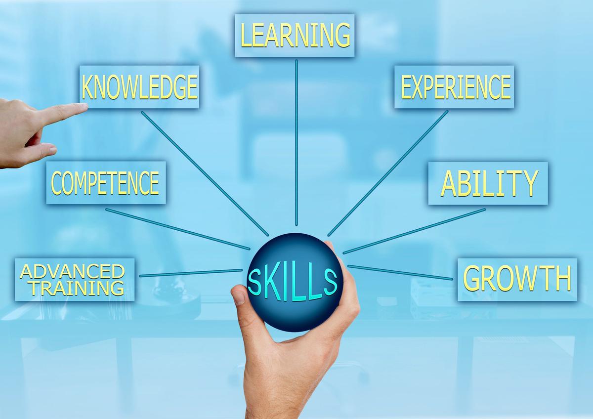Why A Skill based Curriculum In Higher Education Is Important The Hindu