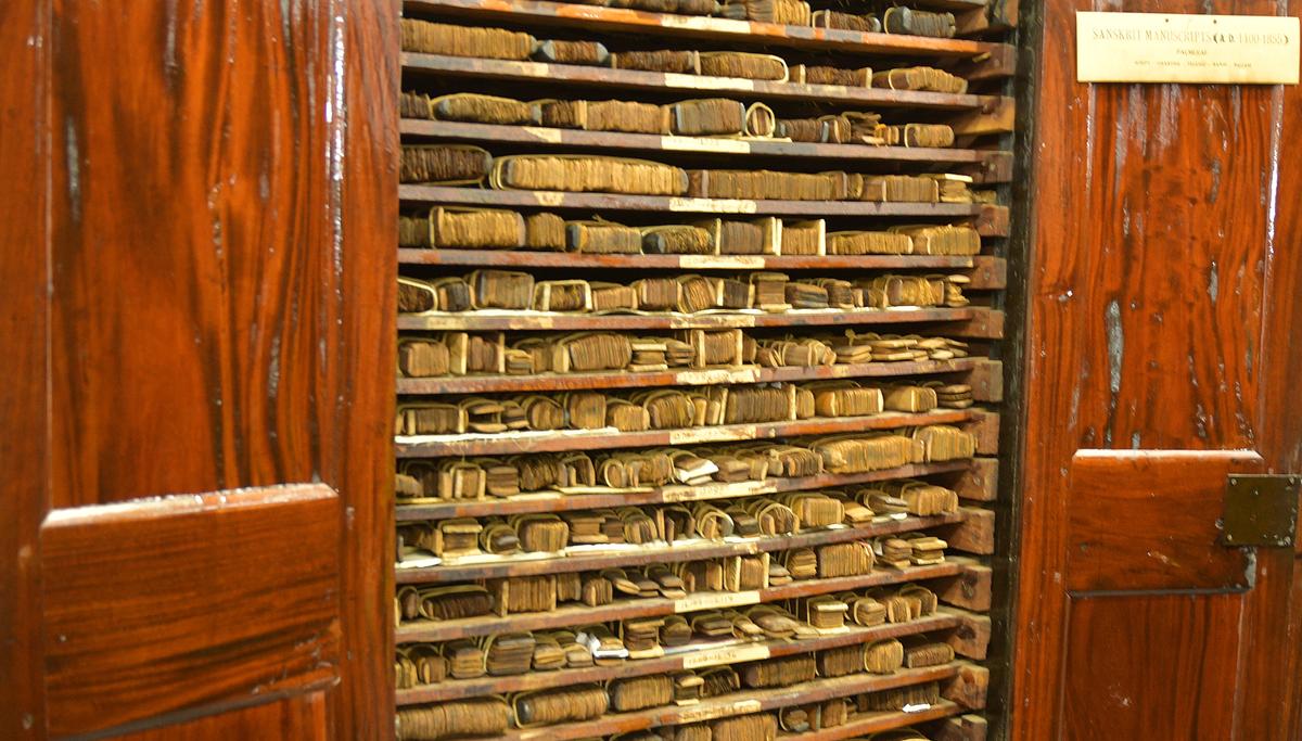 The library’s rare collection of palm leaf manuscripts. File The library’s rare collection of palm leaf manuscripts. File