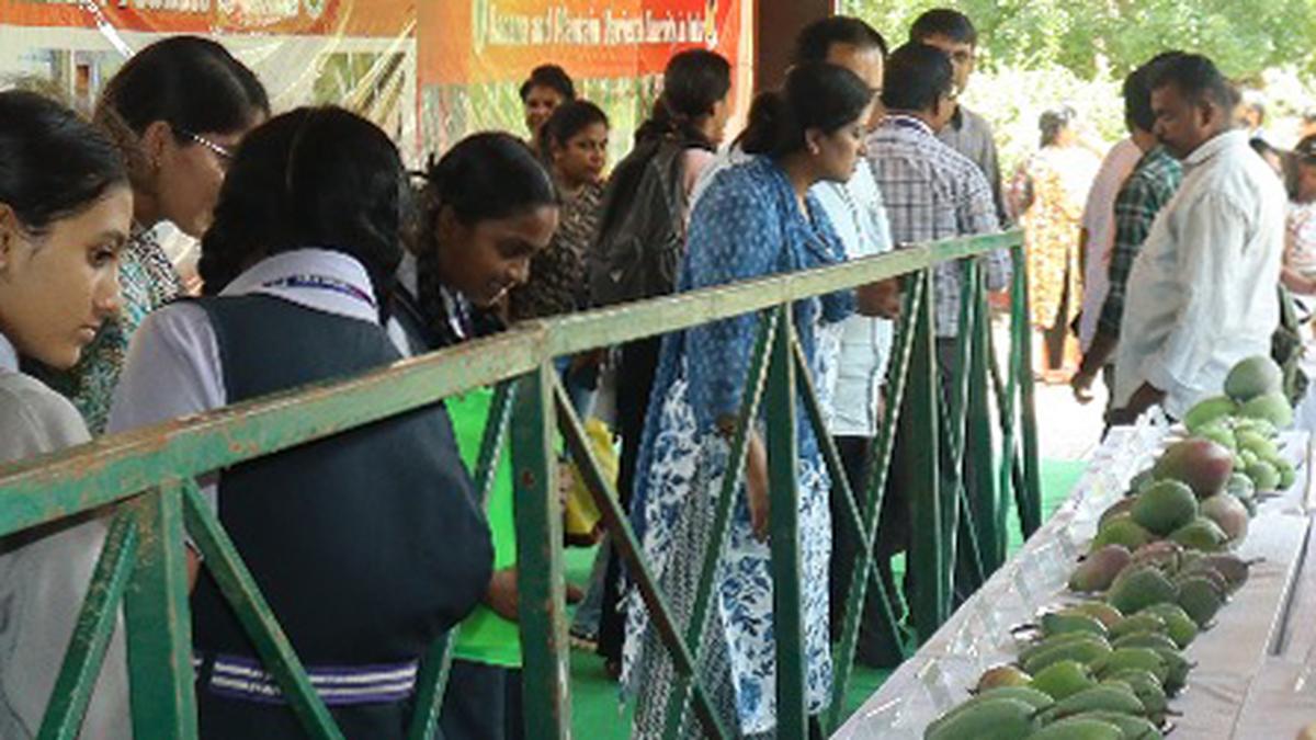 Triphal Diversity Show at IIHR attracts many visitors, farmers