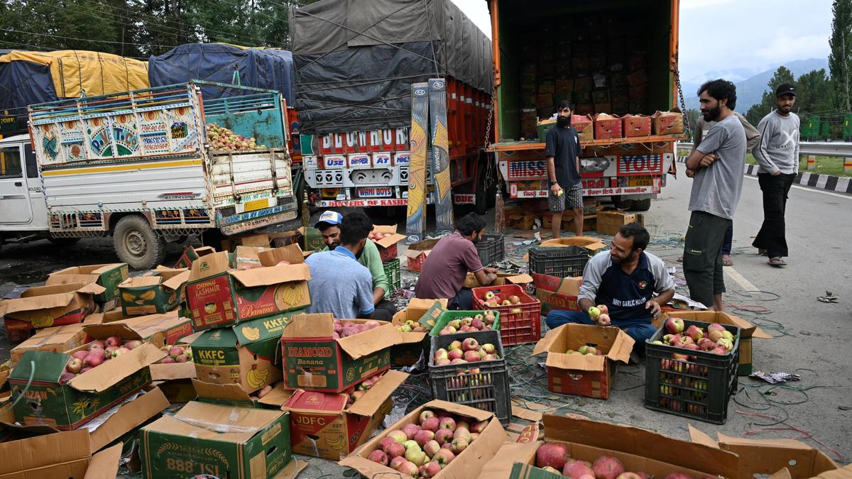 Apple farmers demand protection against import of fruits from U.S., to hold protest outside Parliament