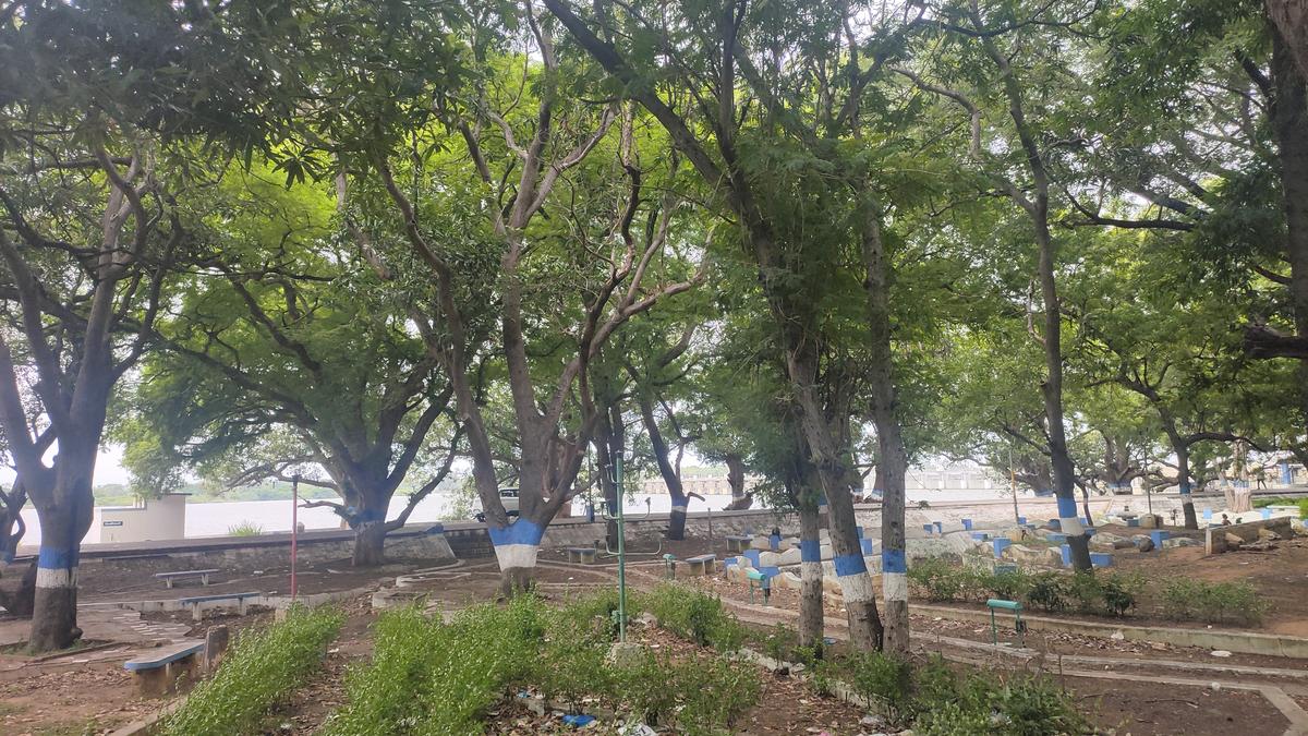Mukkombu Park lies neglected for want of development