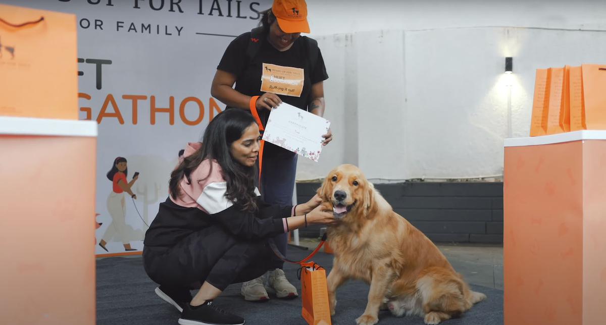 At the Dogathon walk on September 18, keep pace with your furry friends to raise funds for animal welfare NGOs - The Hindu At the Dogathon walk on September 18, keep pace with your furry friends to raise funds for animal welfare NGOs - The Hindu