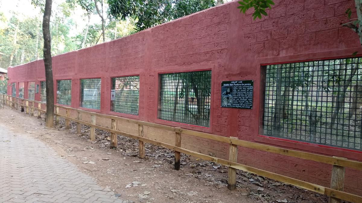 Pilikula zoo to get penguins, yellow anaconda and Asiatic lion soon