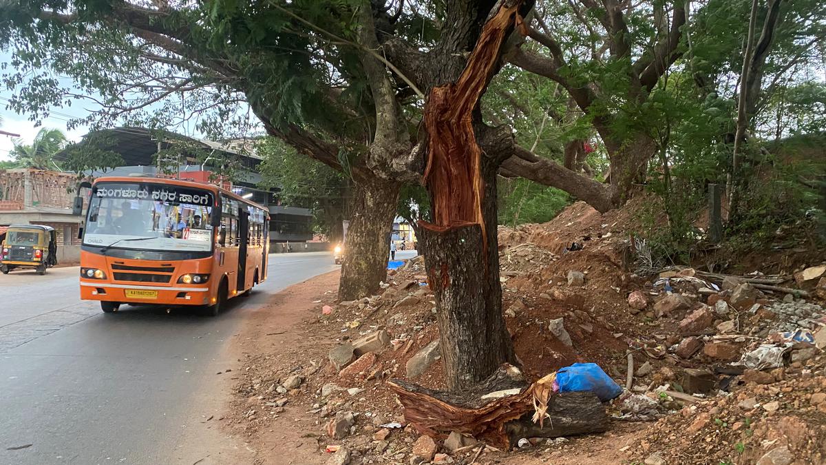 NGT dismisses petition questioning felling of trees between Marnamikatta and Nandigudda in Mangaluru